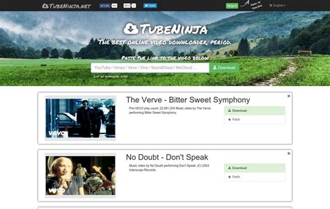 TubeNinja.net Alternatives: 25+ Online Video Downloaders